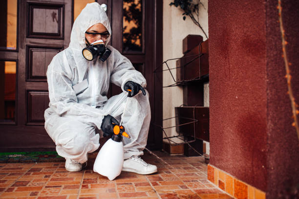 Reliable Ant Control contractor in Polo, IL by Show Me Pest Control